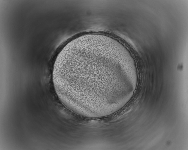 X0000102481160200808221700