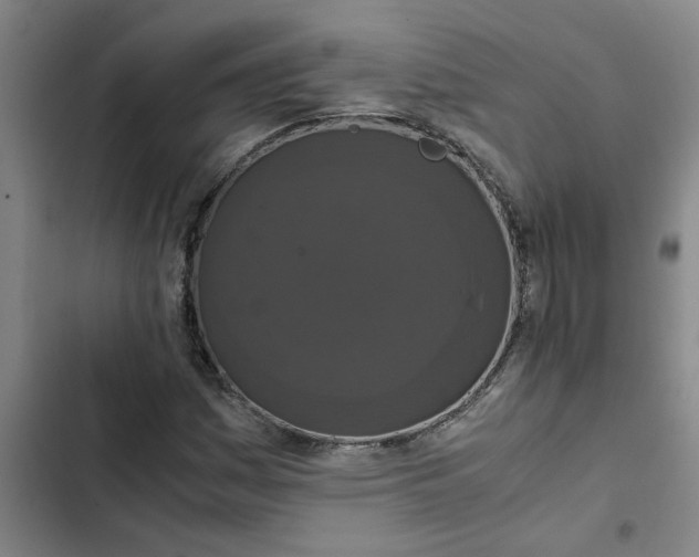 X0000102481161200808221700