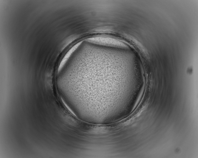 X0000102481162200808221700