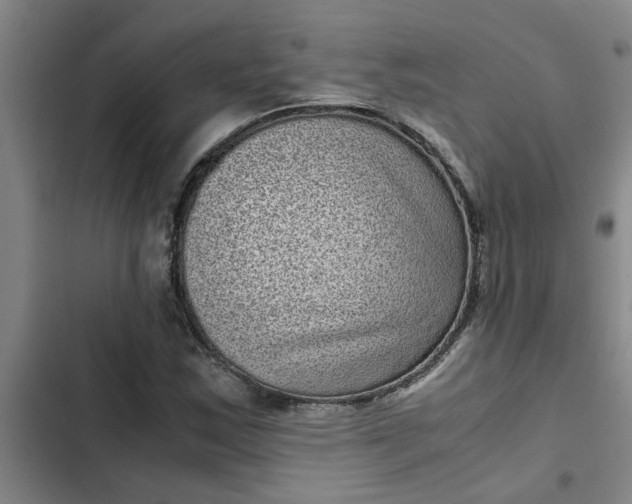 X0000102481163200808221700