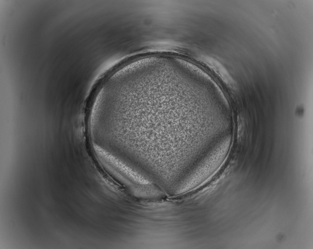 X0000102481164200808221700