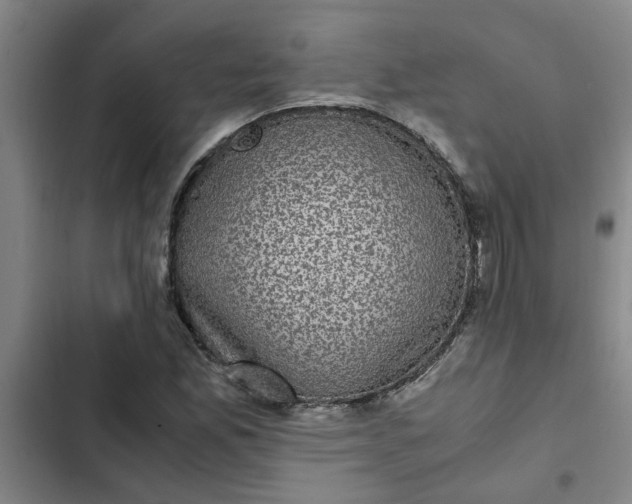 X0000102481165200808221700