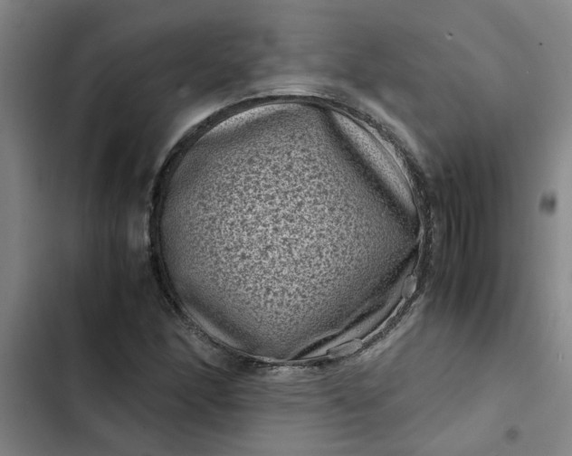 X0000102481166200808221700