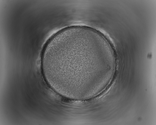 X0000102481167200808221700