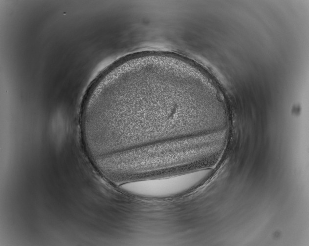 X0000102481168200808221700