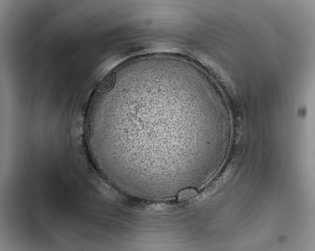 X0000102481169200808221700