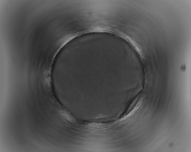 X0000102481170200808221700