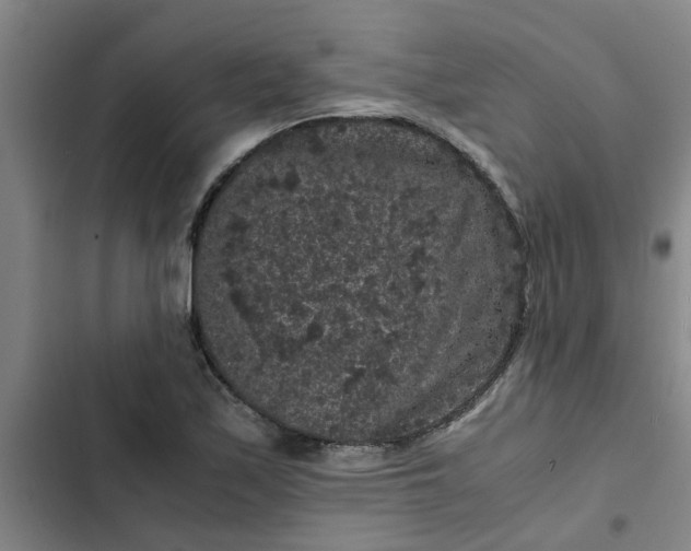 X0000102481171200808221700