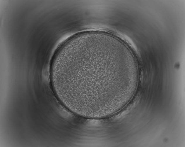 X0000102481172200808221700