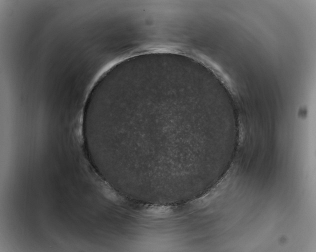 X0000102481174200808221700