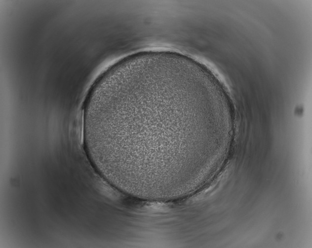 X0000102481175200808221700