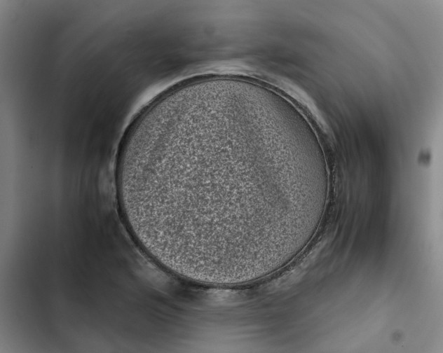 X0000102481176200808221700