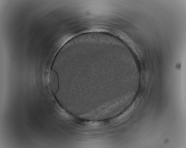 X0000102481177200808221700