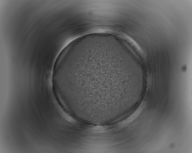 X0000102481178200808221700