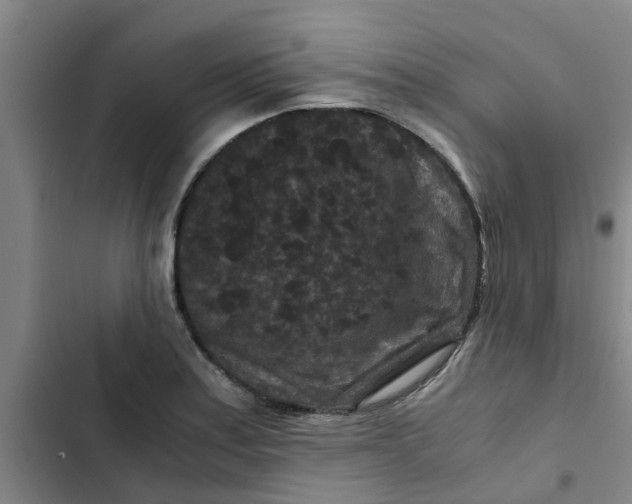 X0000102481179200808221700