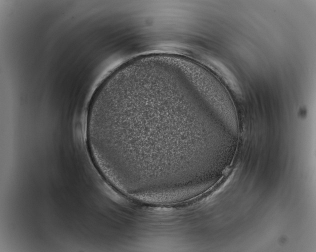 X0000102481180200808221700