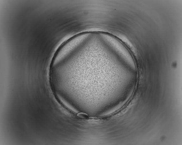 X0000102481181200808221700