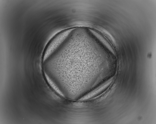 X0000102481182200808221700