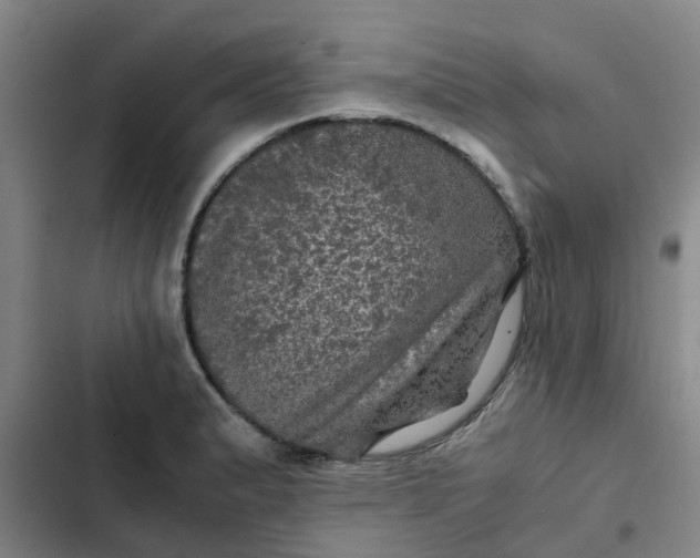 X0000102481183200808221700