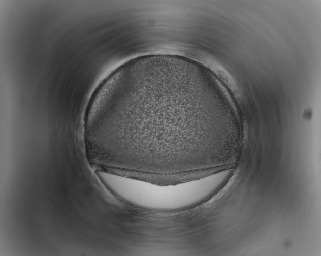 X0000102481184200808221700