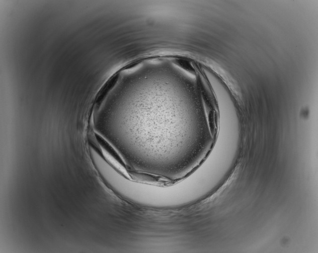 X0000102481185200808221700