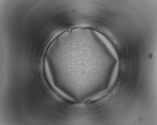 X0000102481186200808221700