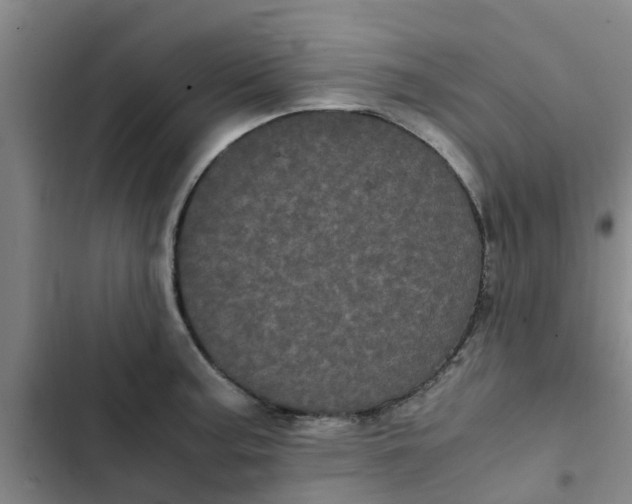 X0000102481187200808221700