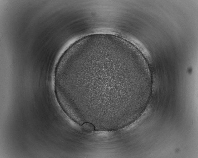 X0000102481188200808221700