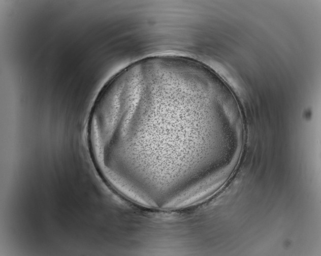 X0000102481189200808221700