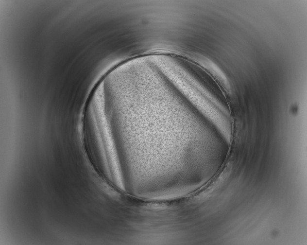 X0000102481190200808221700