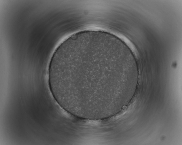 X0000102481191200808221659