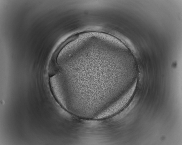 X0000102481192200808221659