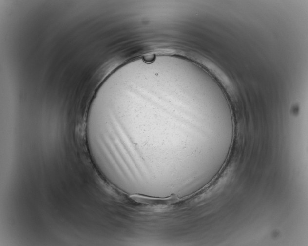 X0000102481193200808221659