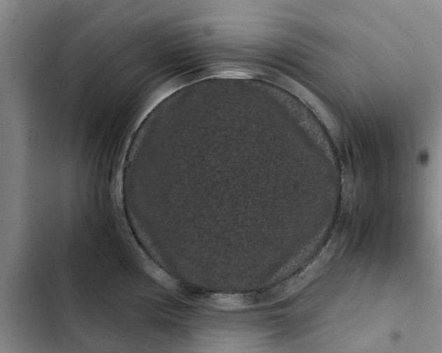 X0000102481194200808221659