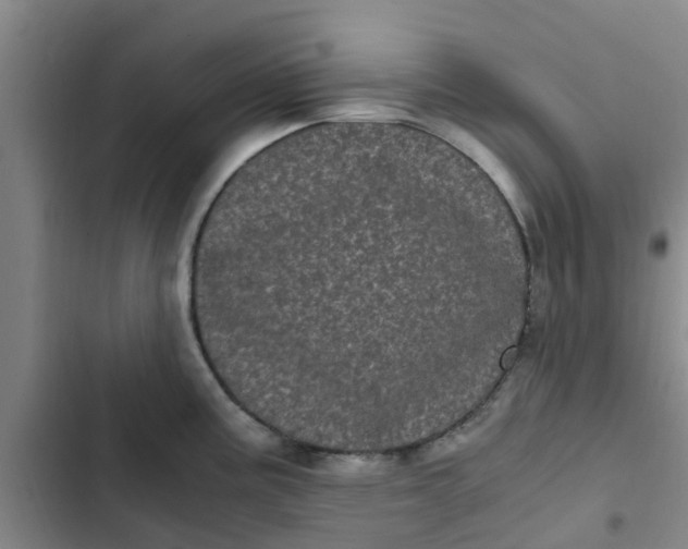 X0000102481195200808221659