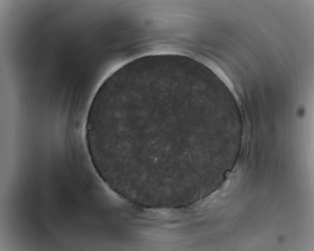 X0000102481197200808221659