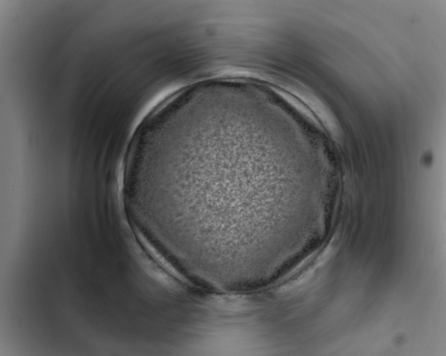 X0000102481198200808221659