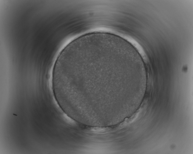 X0000102481199200808221659