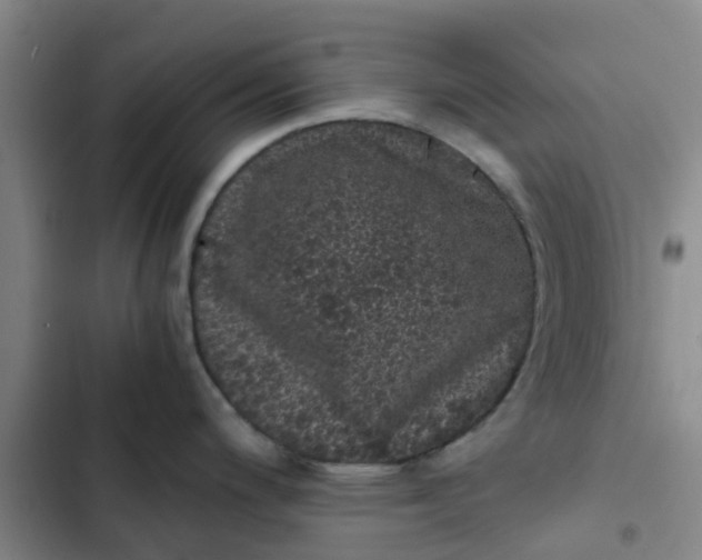 X0000102481200200808221659