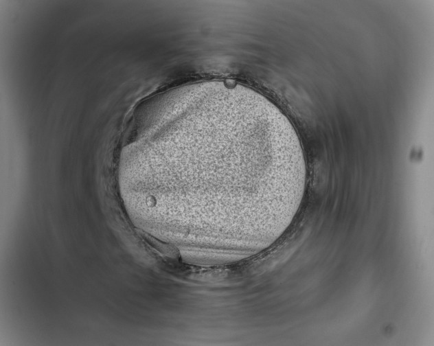 X0000102481201200808221659