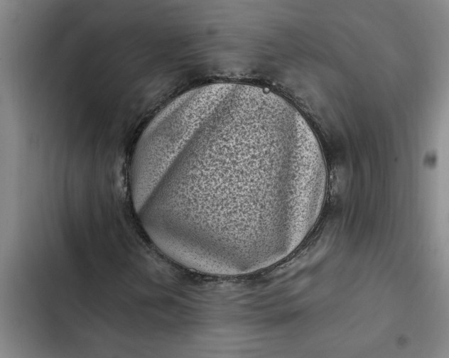 X0000102481202200808221659