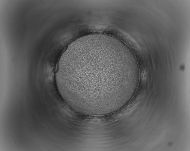 X0000102481204200808221659