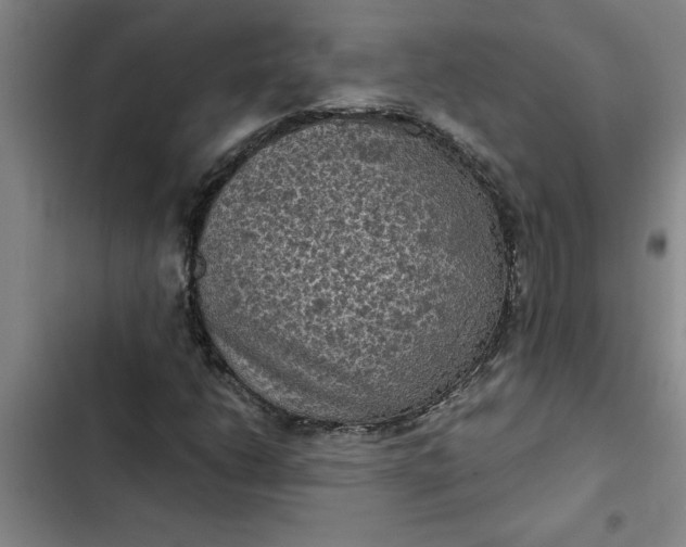 X0000102481206200808221659