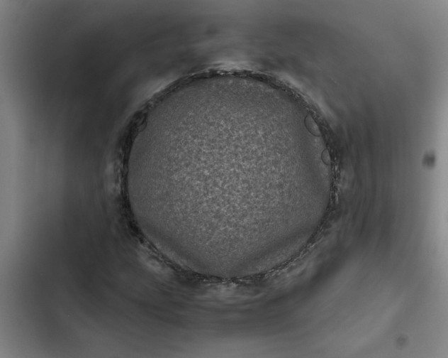 X0000102481207200808221659