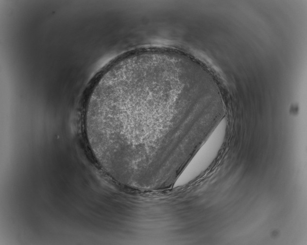 X0000102481208200808221659