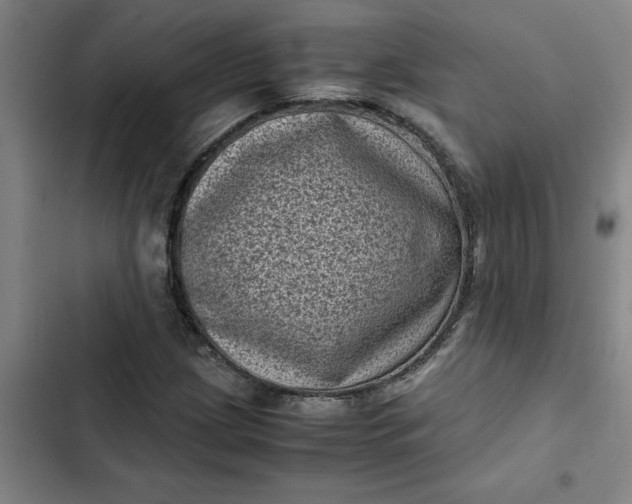 X0000102481209200808221659