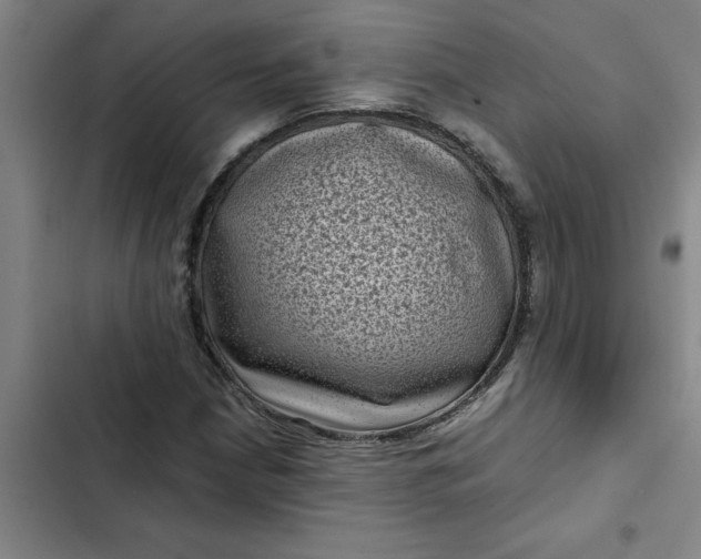 X0000102481210200808221659