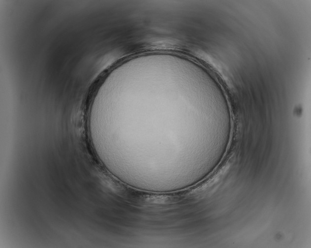 X0000102481211200808221659