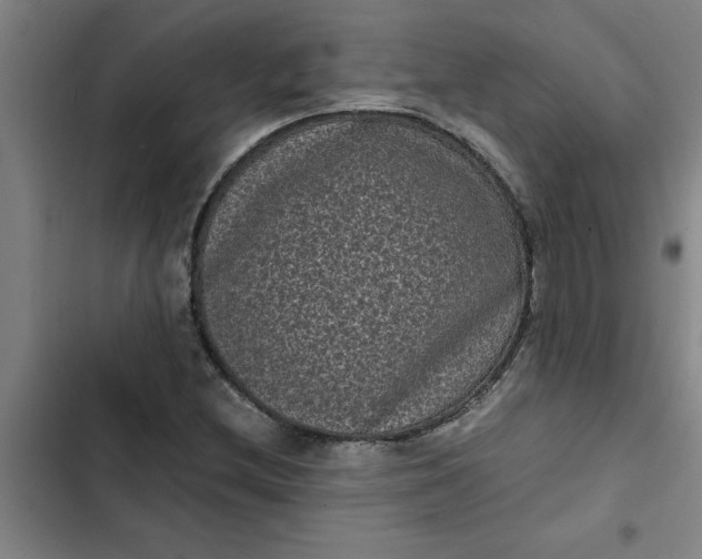 X0000102481212200808221659