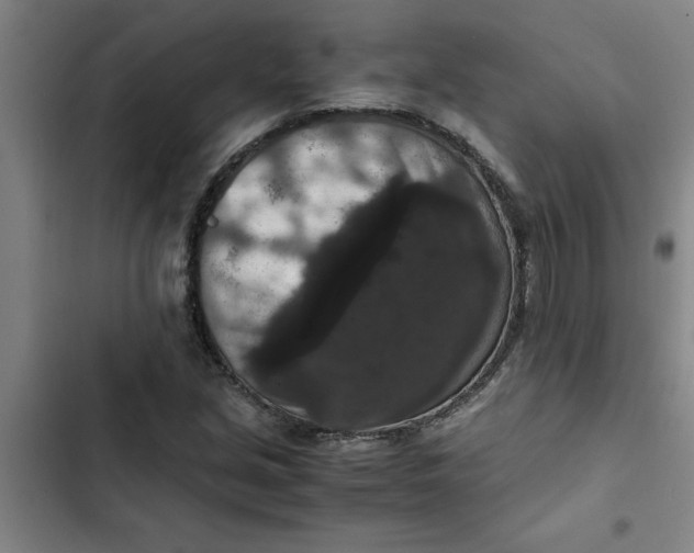 X0000102481213200808221659